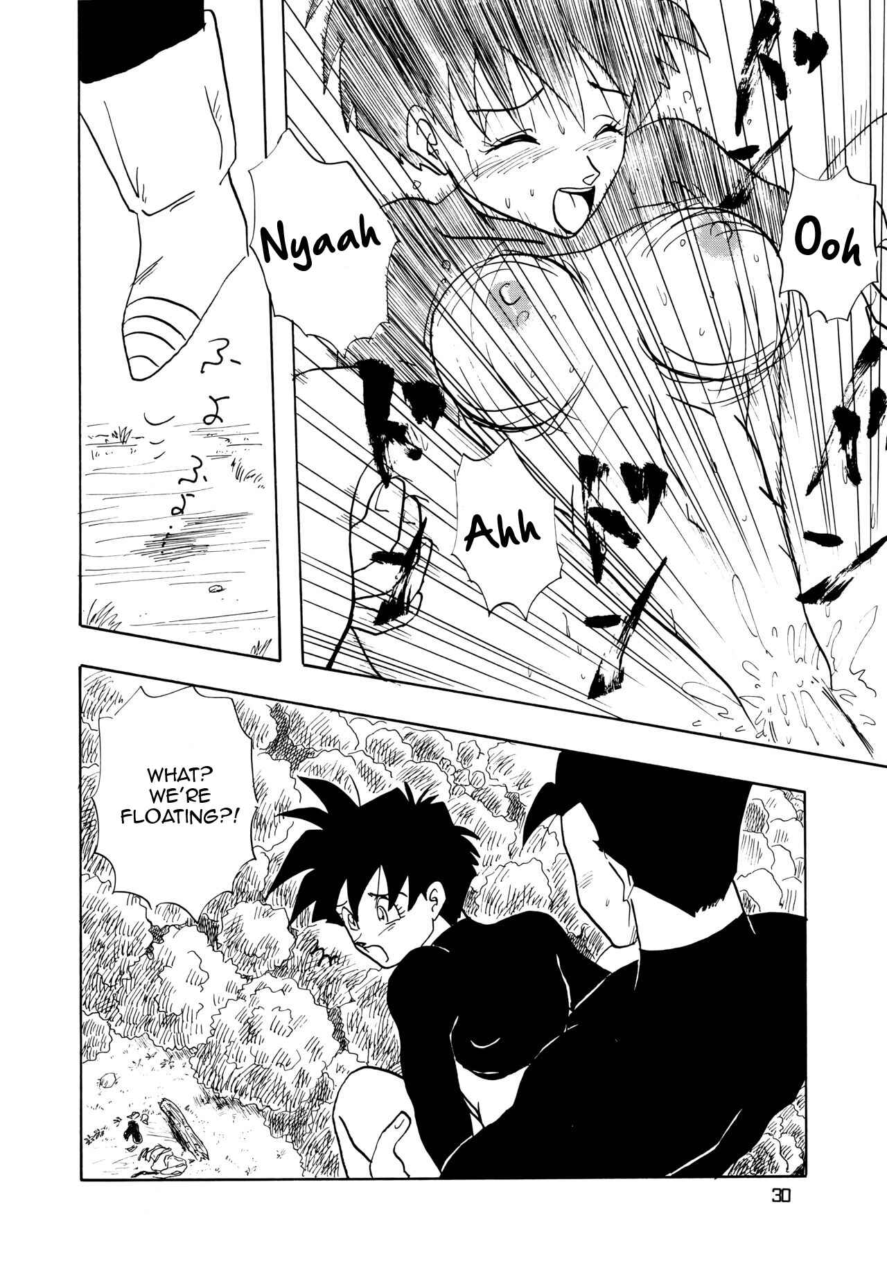 Page 30 Chapter Unknown_4ca0 Dragon Ball - YYY (Doujinshi)