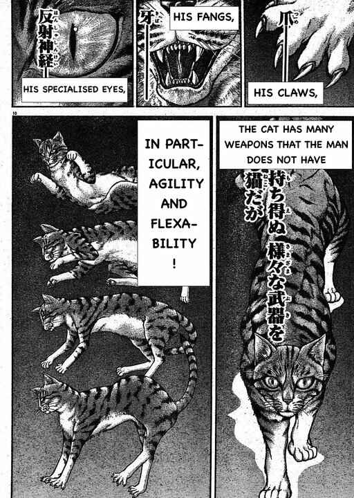 Page 10 Chapter 146 Hanma Baki