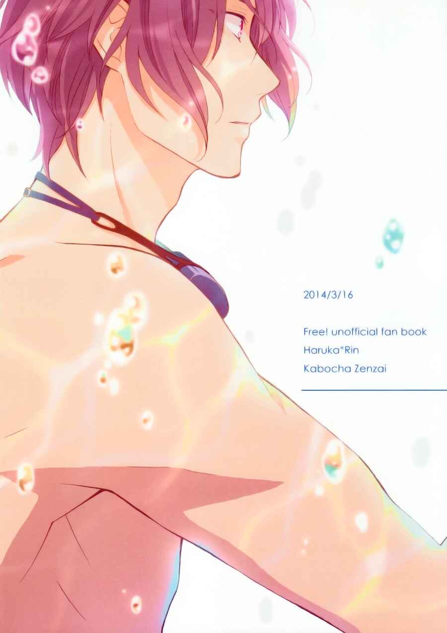 Page 3 Chapter Unknown_91f1 Free! - Kimi ni Himitsu no Namida (Doujinshi)