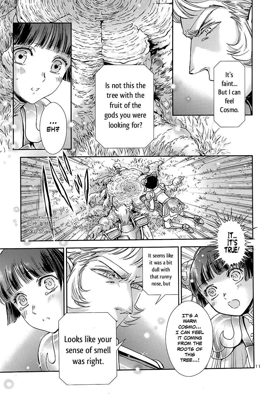 Page 12 Chapter 41 Saint Seiya: Saintia Sho