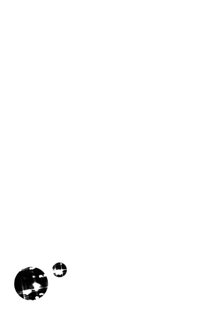 Page 44 Chapter 19 Ame Nochi Hare