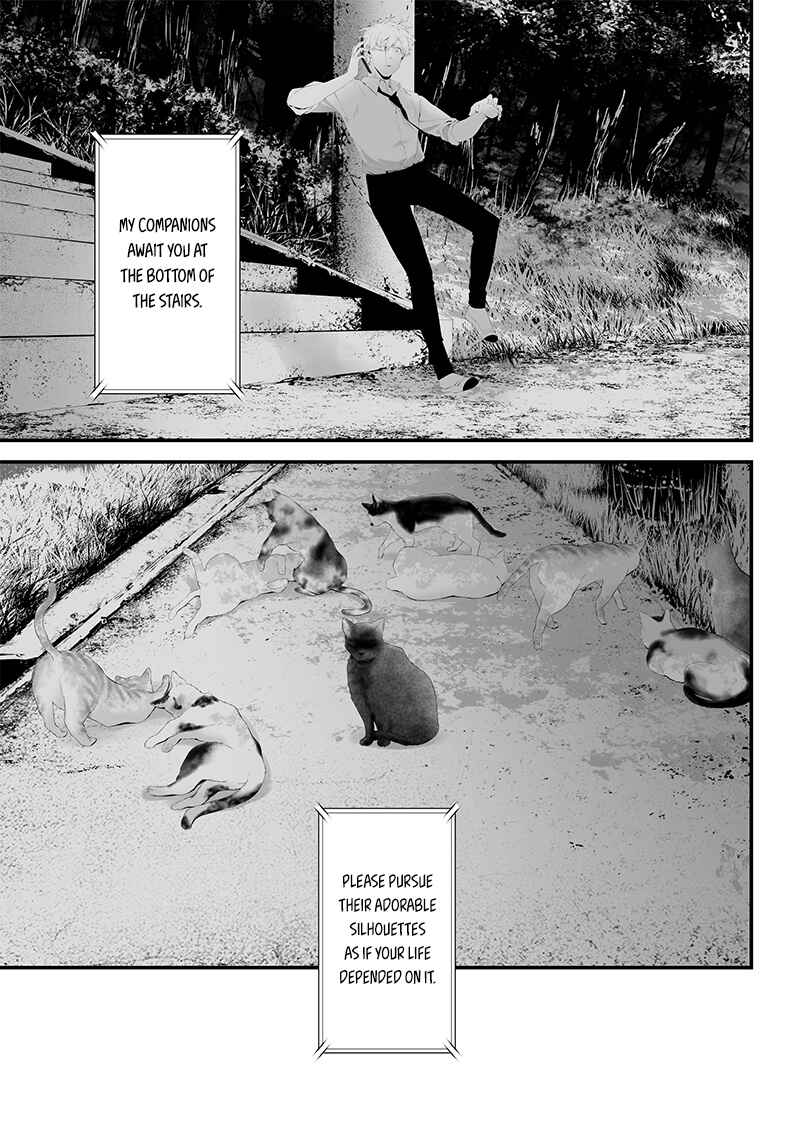 Page 5 Chapter 41 Tsurenai Hodo Aokute Azatoi Kurai ni Akai