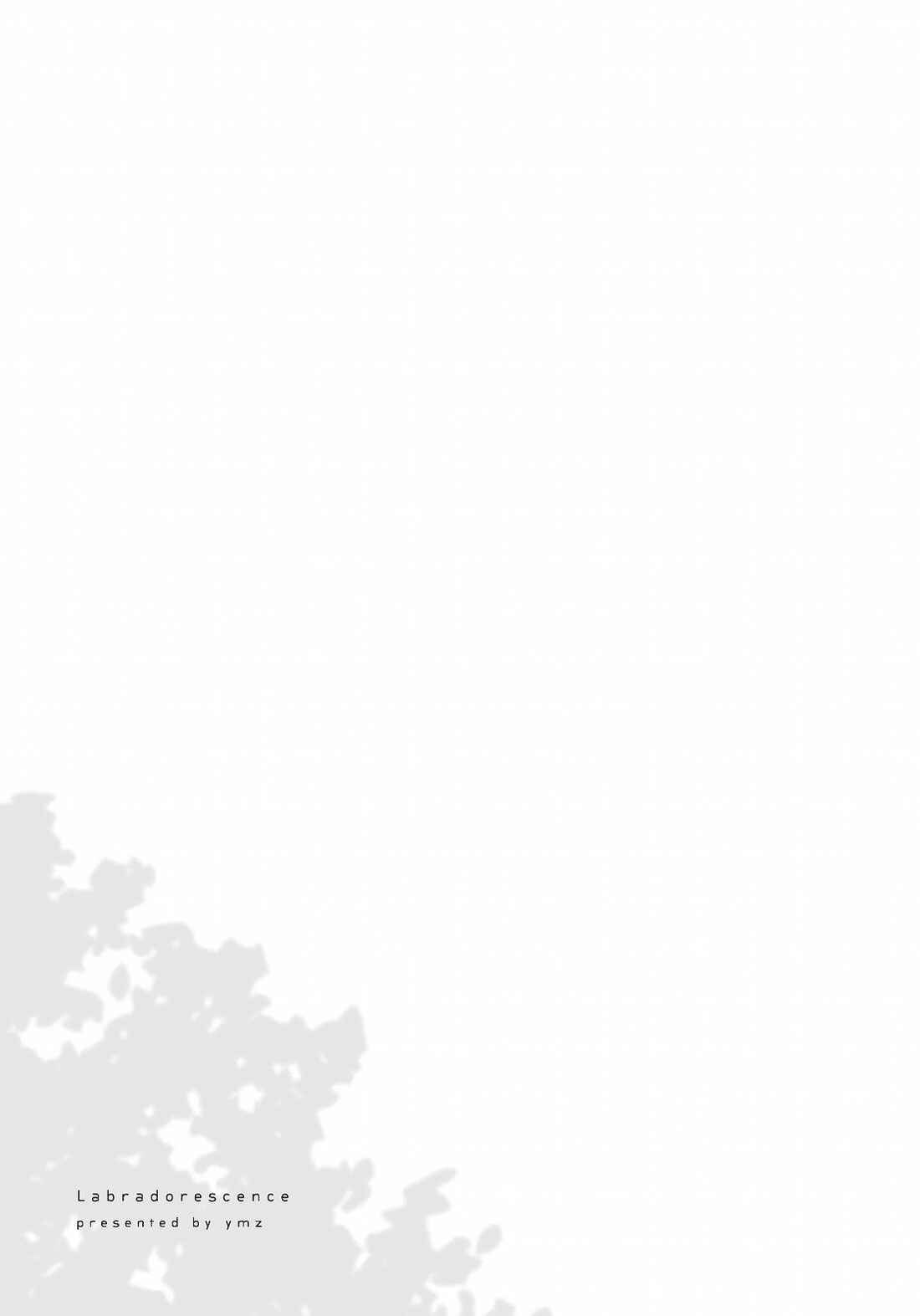 Page 34 Chapter 5 Labradorescence