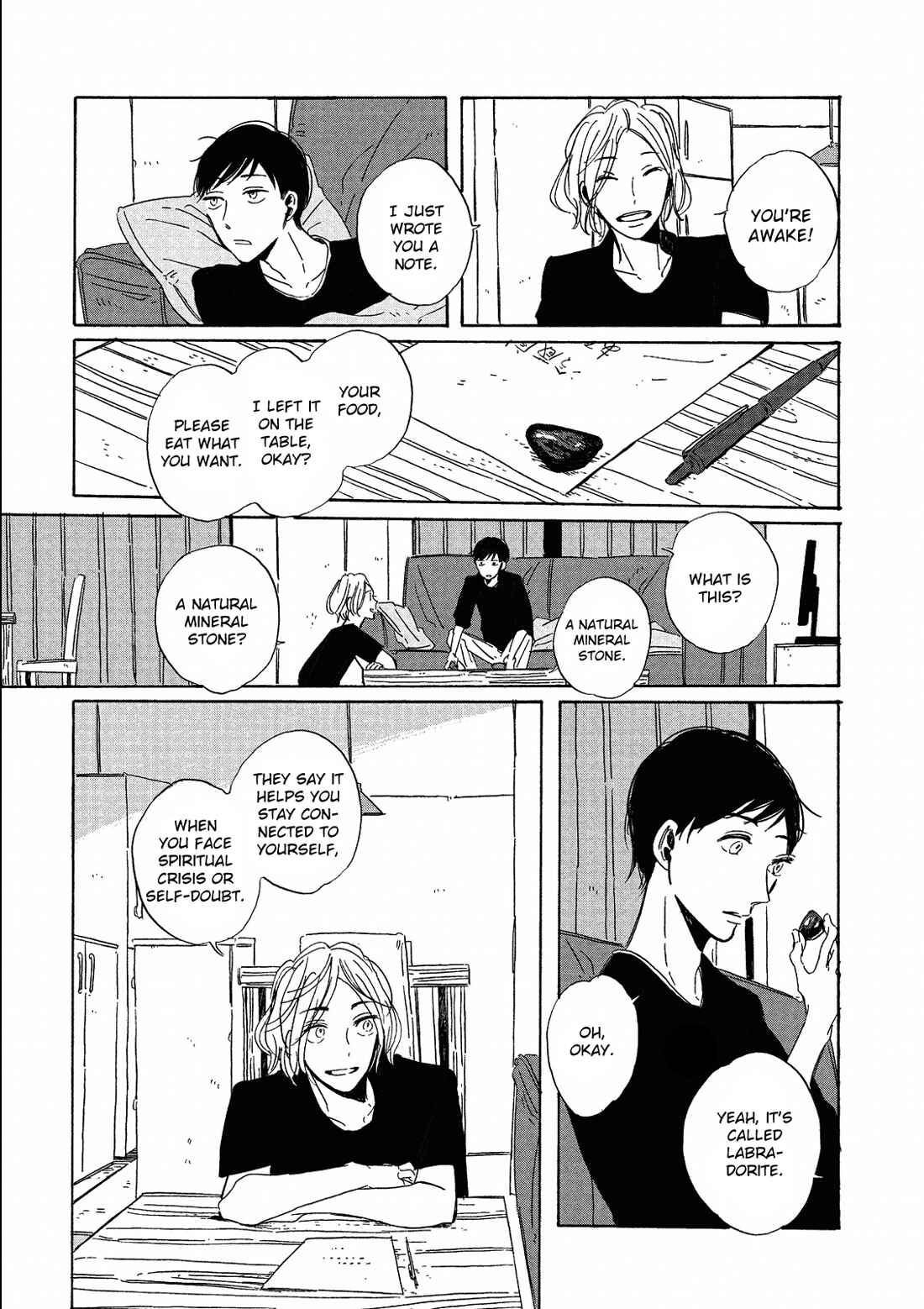 Page 22 Chapter 6 Labradorescence