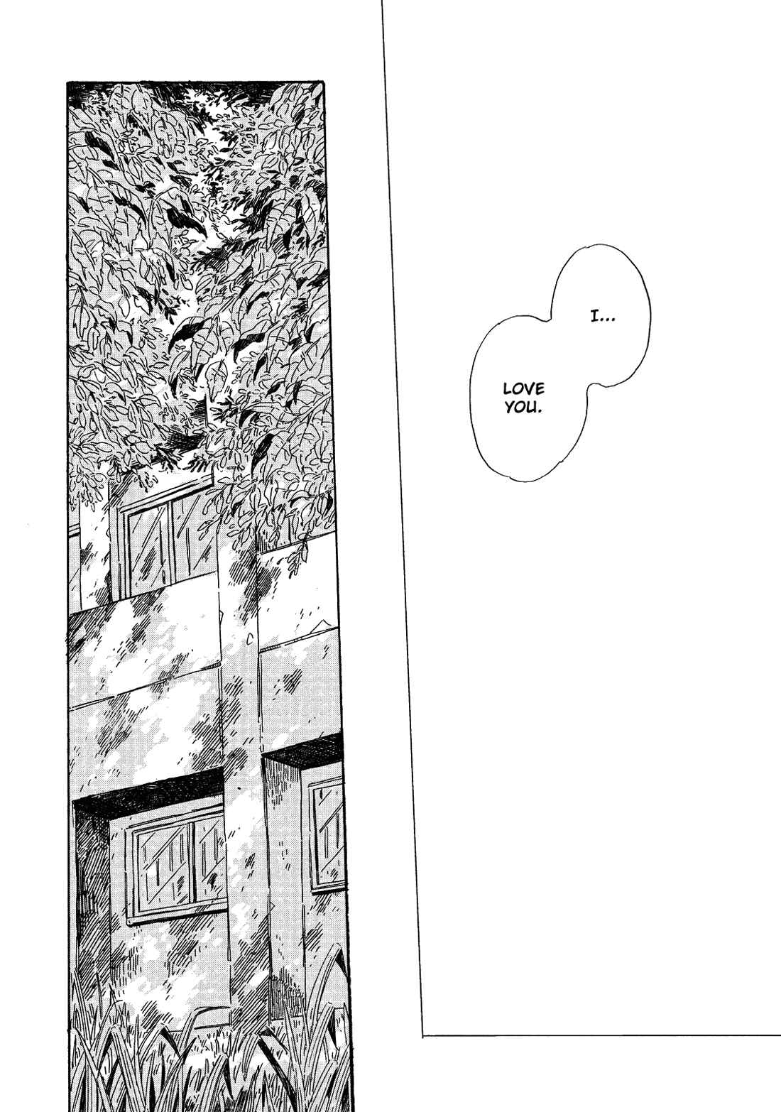 Page 31 Chapter 6 Labradorescence