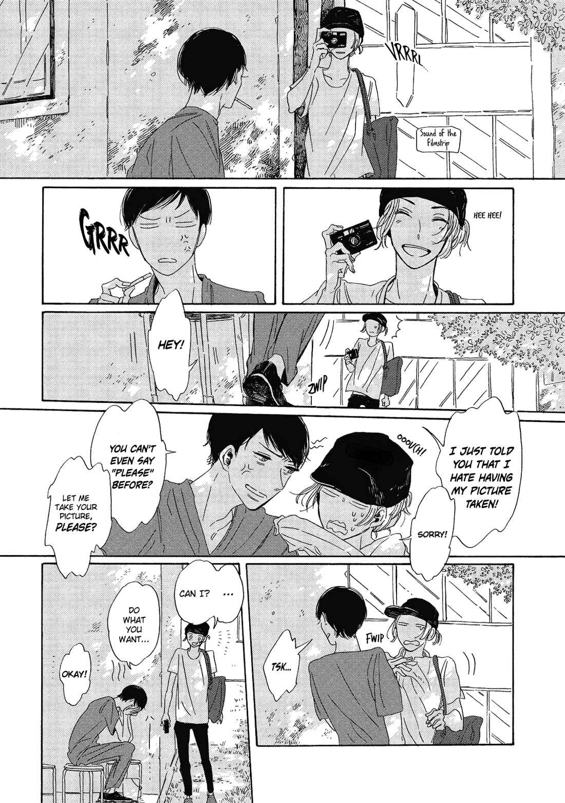 Page 15 Chapter 4 Labradorescence