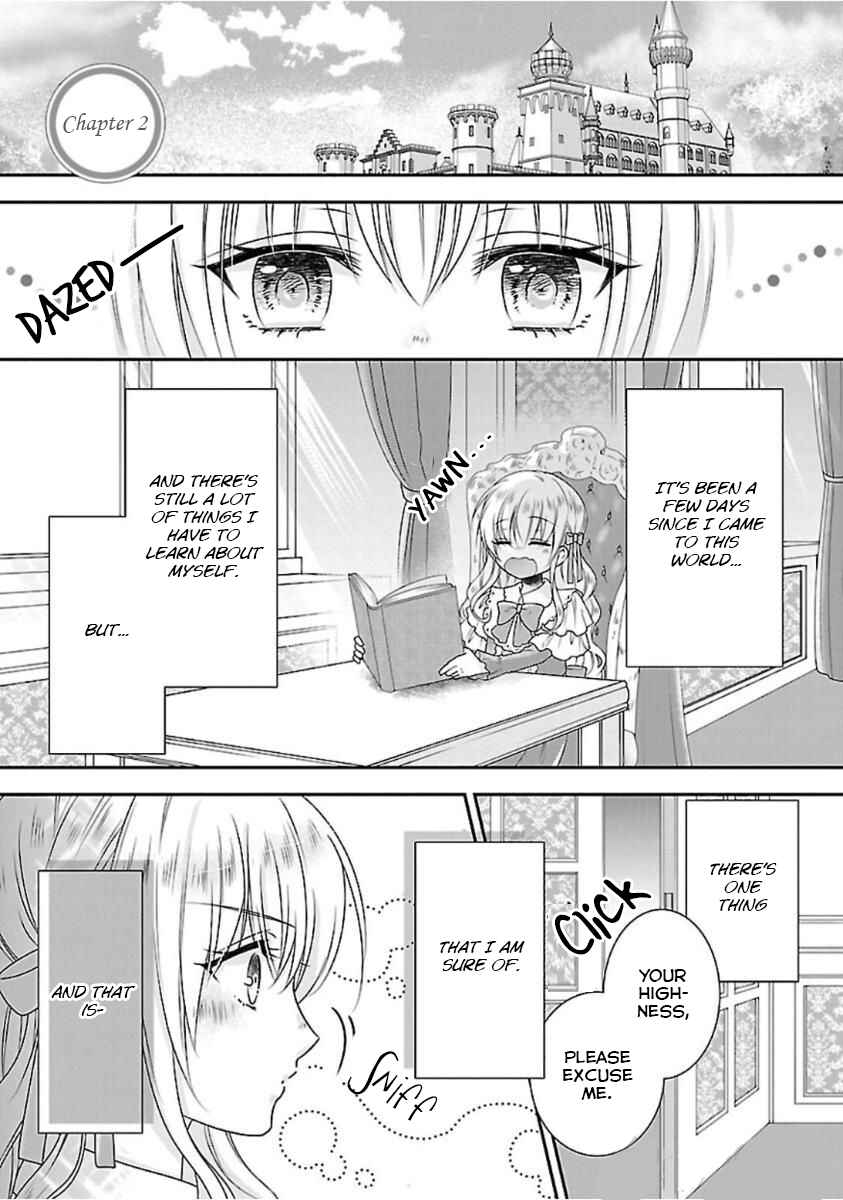 Page 3 Chapter 2 Nanchatte Cinderella Oukyuu Inbou Hen Isekai de, Outaishi hi Hajimemashita.