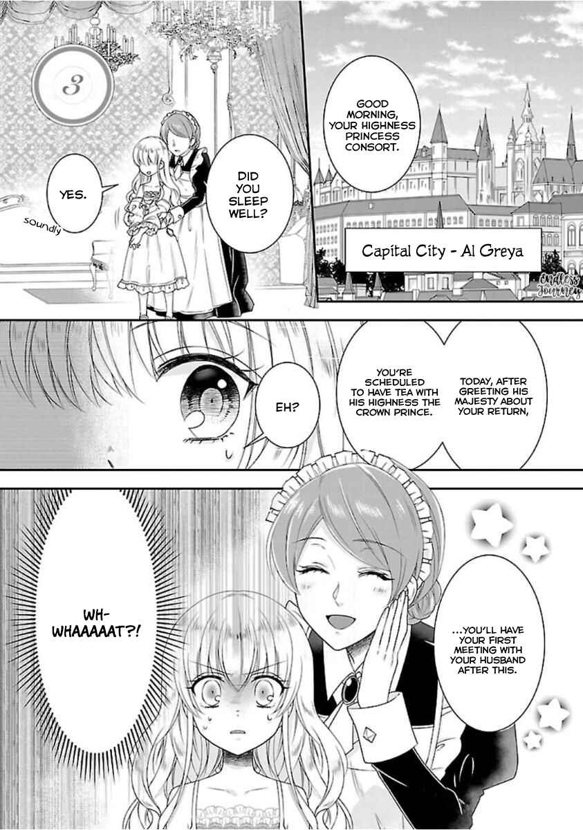 Page 3 Chapter 3 Nanchatte Cinderella Oukyuu Inbou Hen Isekai de, Outaishi hi Hajimemashita.