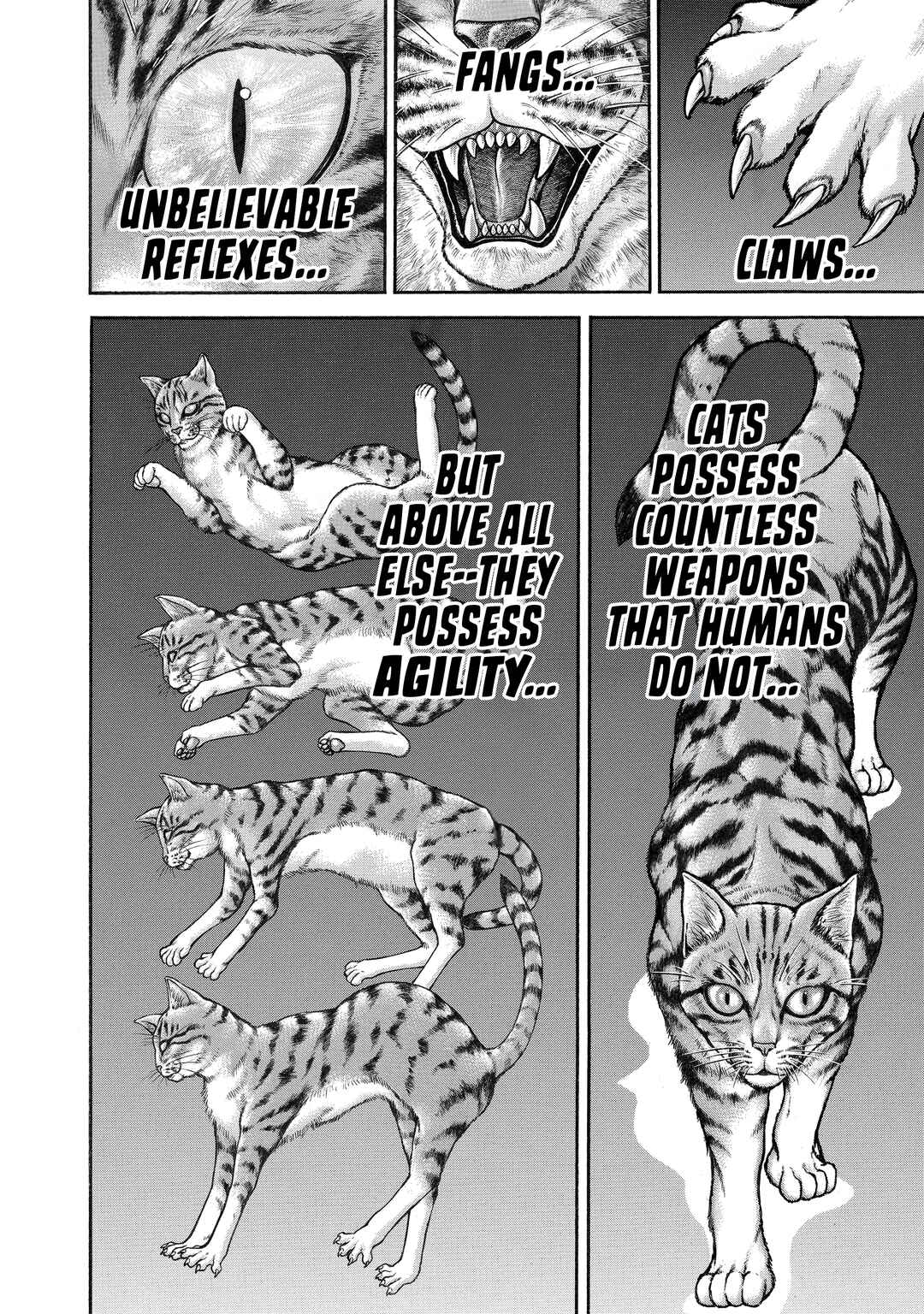 Page 8 Chapter 153 Baki Hanma - Son of Ogre (Shinsoban Release)