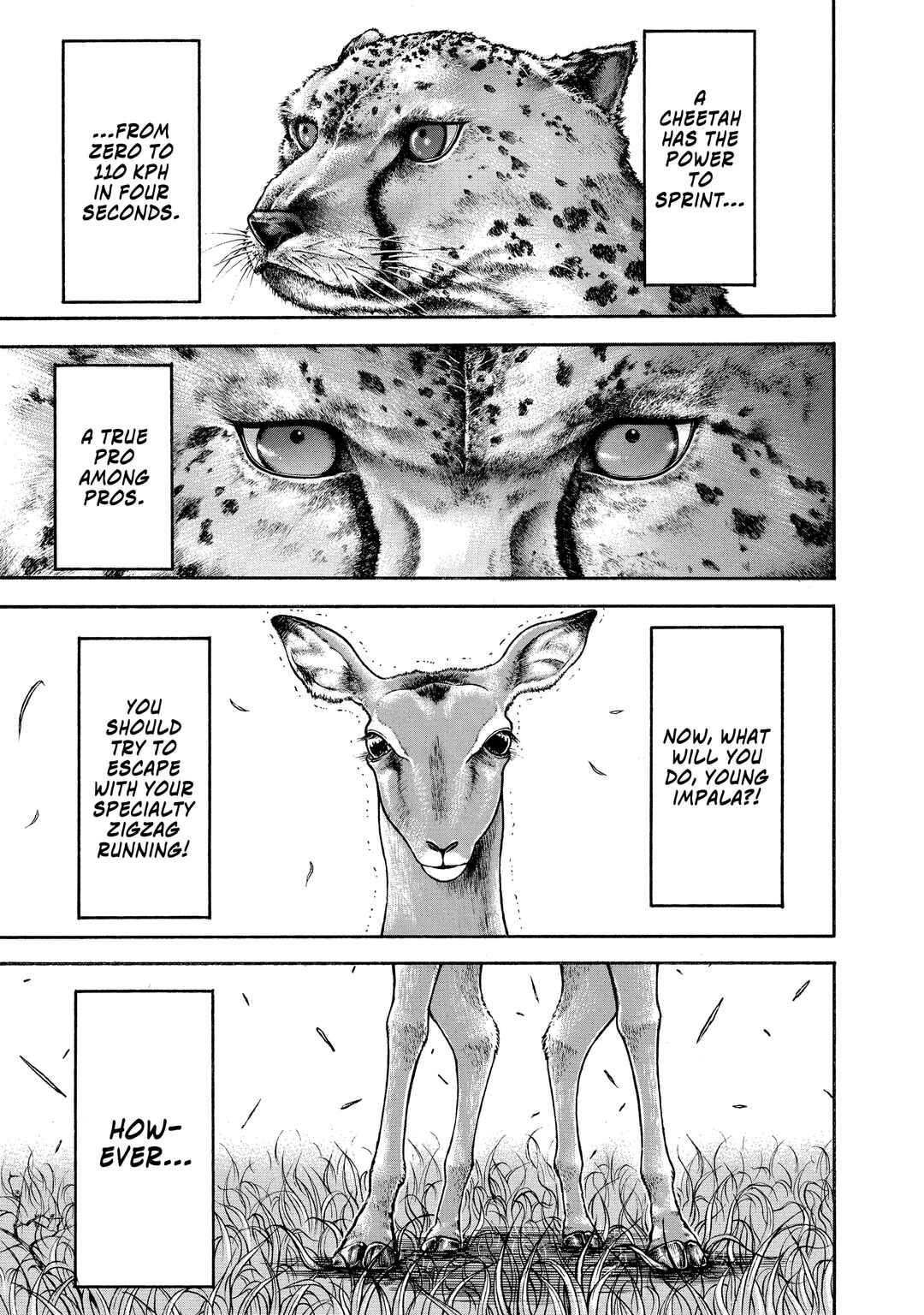 Page 5 Chapter 144 Baki Hanma - Son of Ogre (Shinsoban Release)