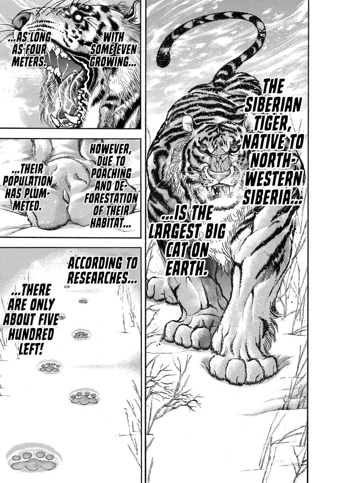 Page 4 Chapter 99 Baki Hanma - Son of Ogre (Shinsoban Release)