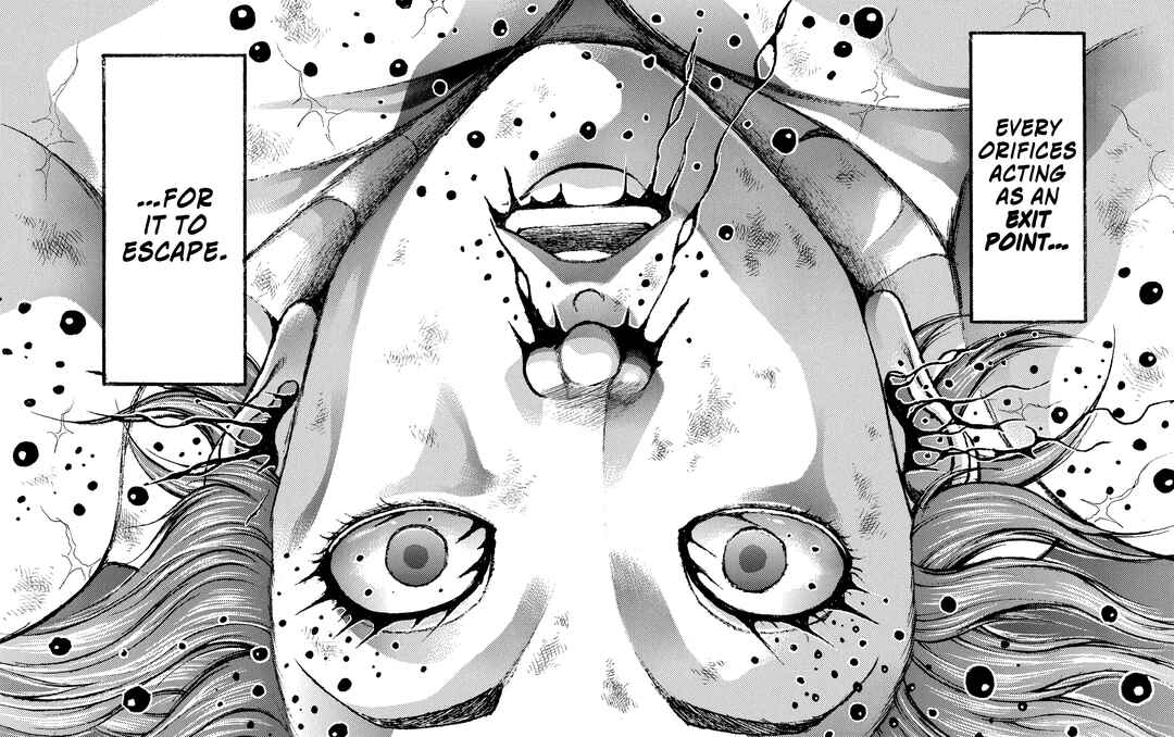 Page 11 Chapter 296 Baki Hanma - Son of Ogre (Shinsoban Release)