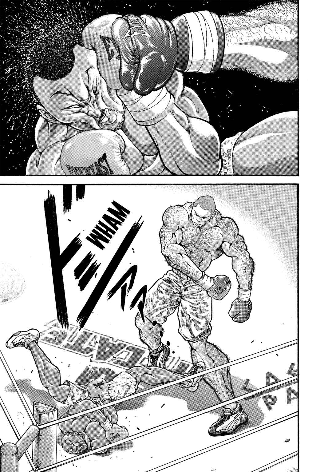 Page 13 Chapter 219 Baki Hanma - Son of Ogre (Shinsoban Release)