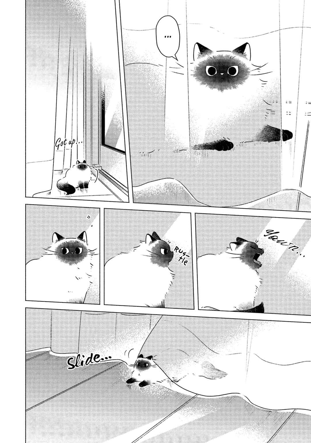 Page 2 Chapter 3 Te no Hira Neko