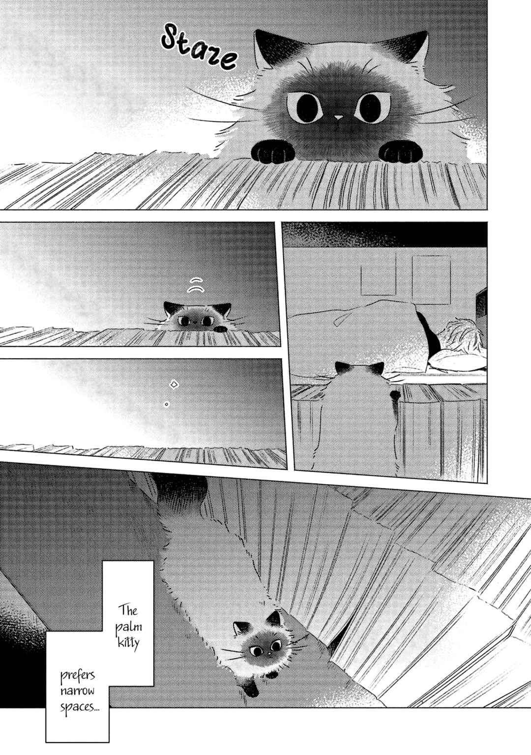 Page 3 Chapter 2 Te no Hira Neko
