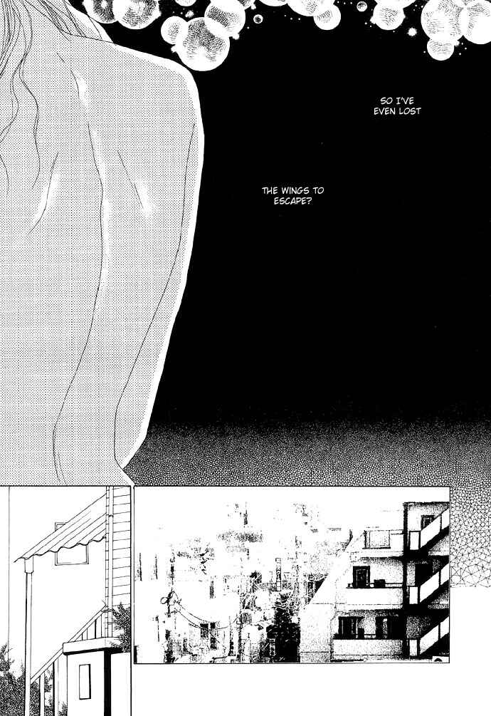 Page 5 Chapter 5 3D Material