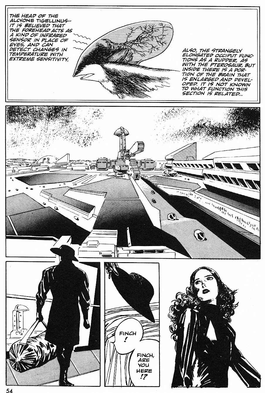 Page 14 Chapter 15 2001 Nights