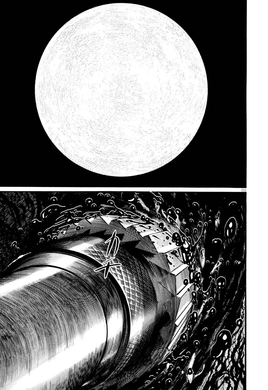Page 110 Chapter 1 Homunculus