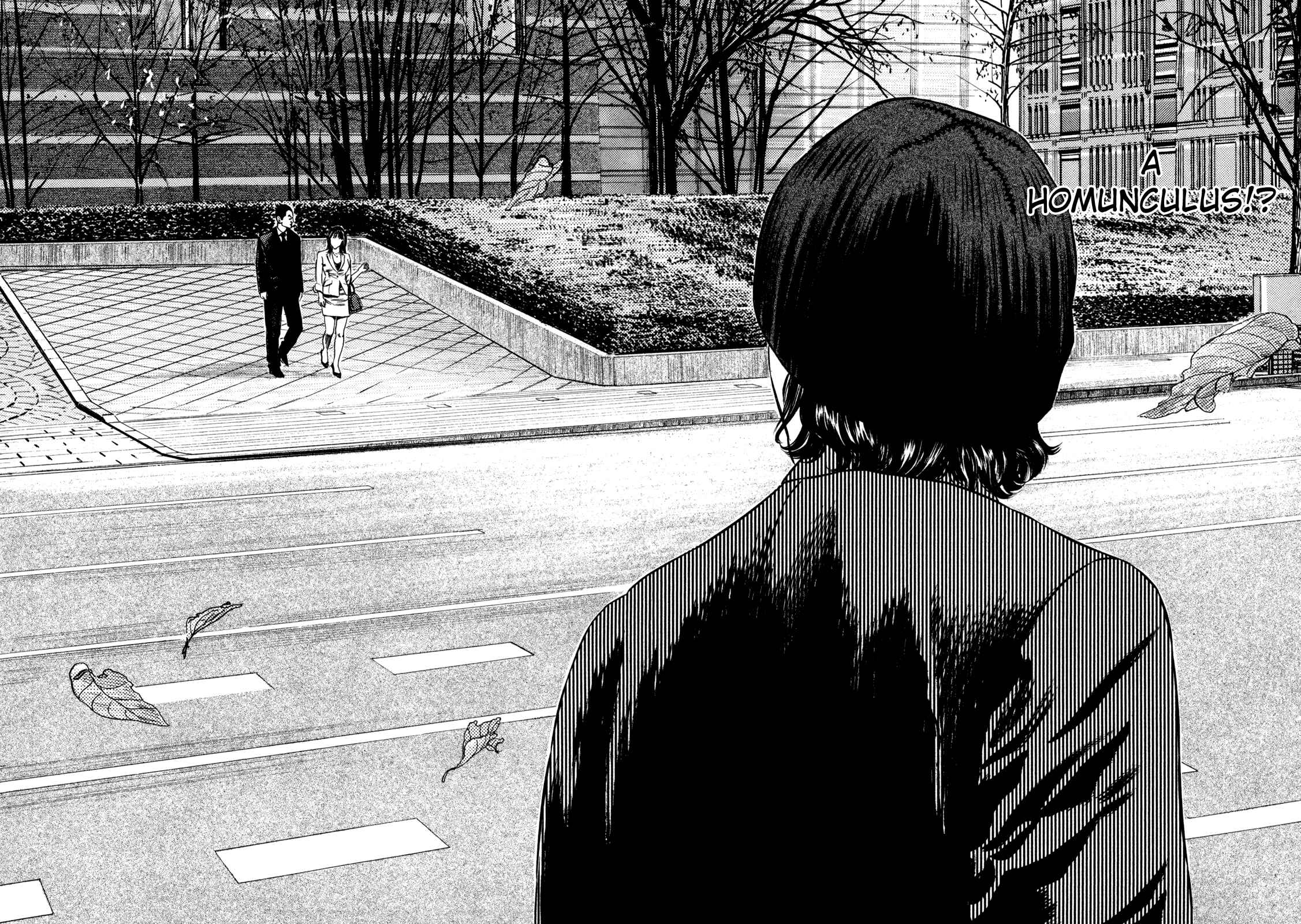 Page 32 Chapter 1 Homunculus