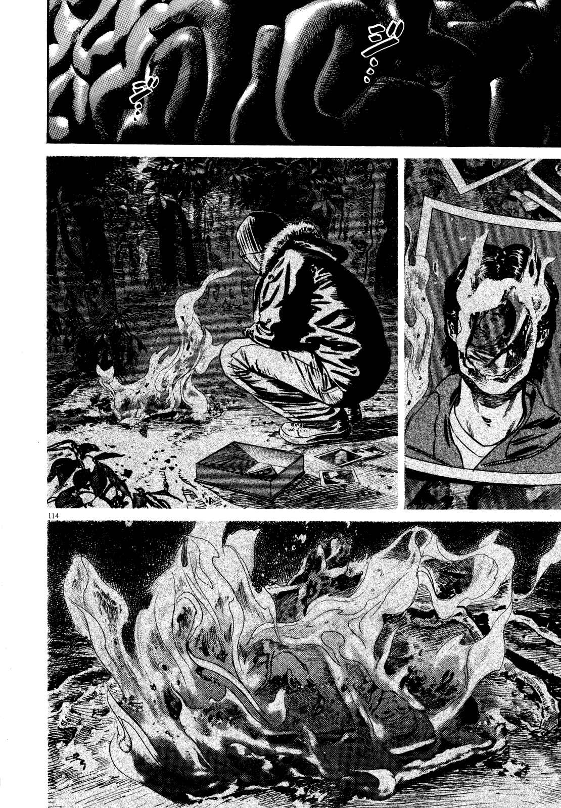 Page 117 Chapter Unknown_5918 Homunculus