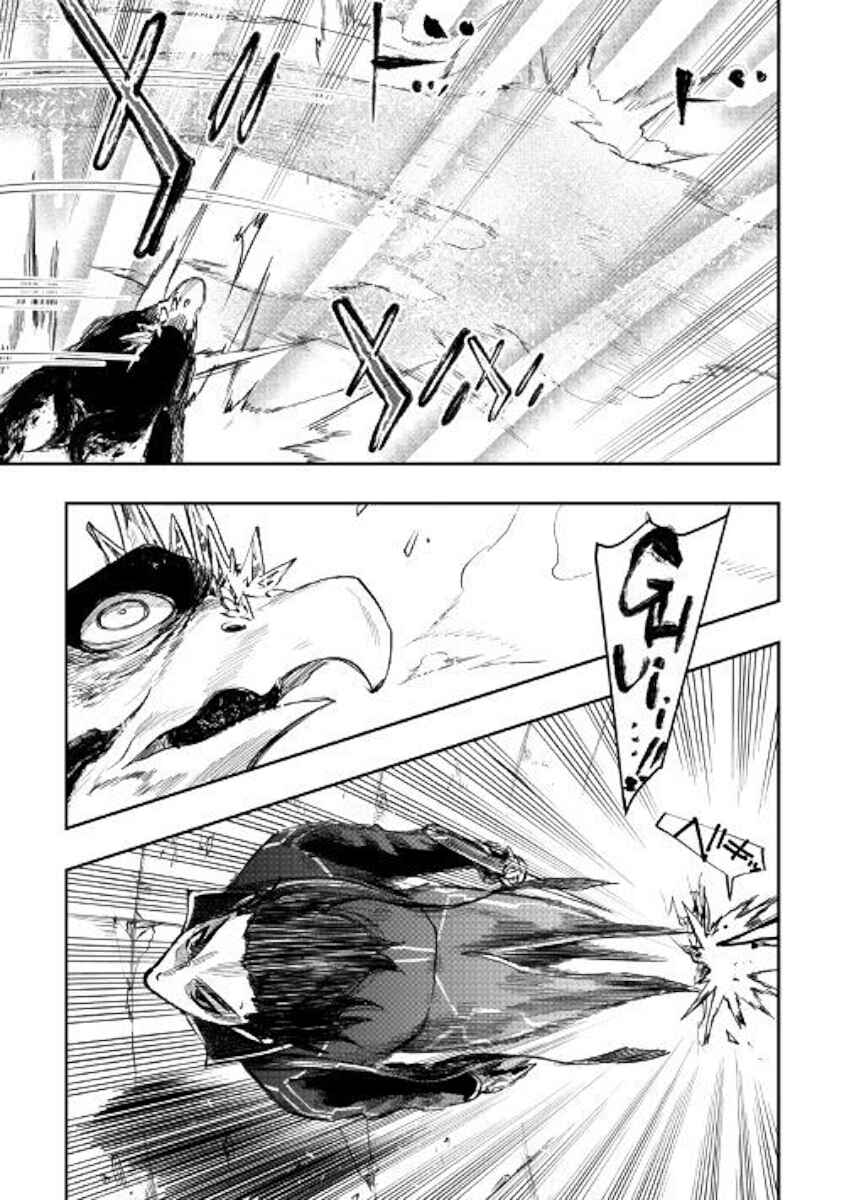 Page 31 Chapter 45 The New Gate