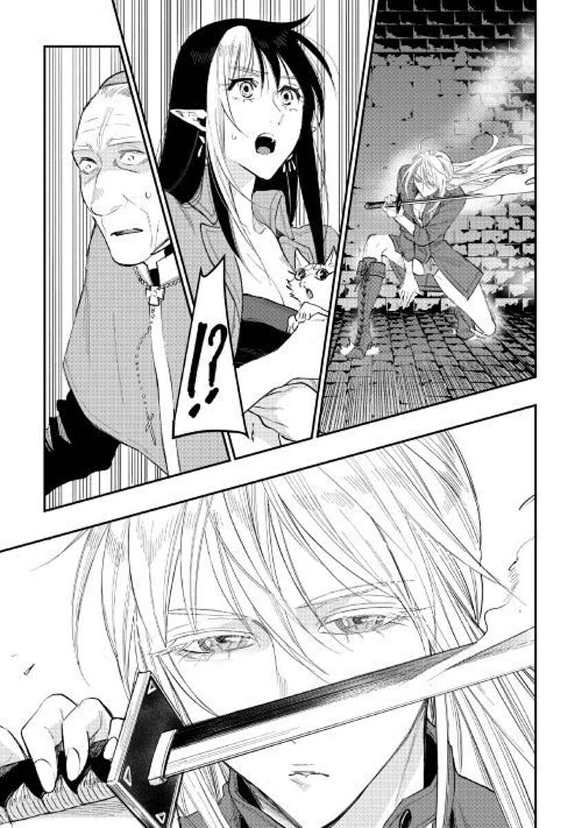 Page 29 Chapter 40 The New Gate