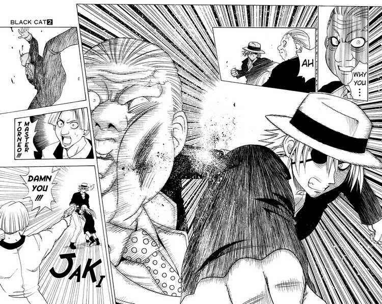 Page 13 Chapter 10 Black Cat
