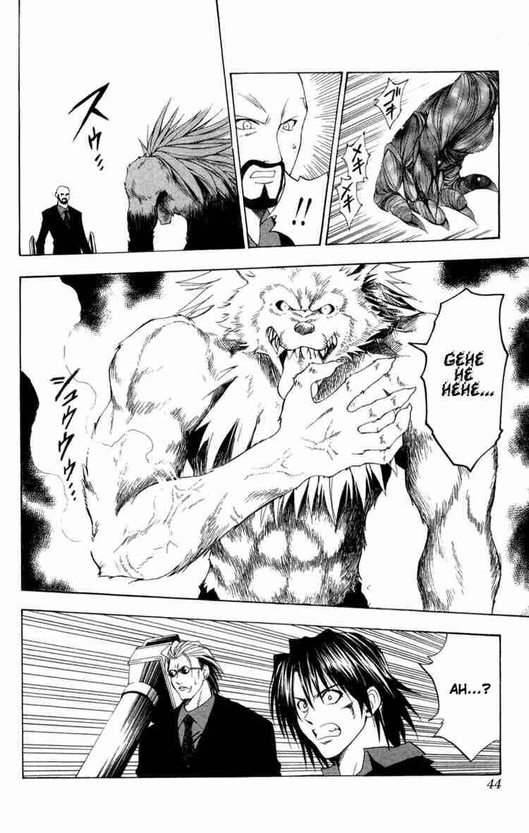 Page 19 Chapter 77 Black Cat
