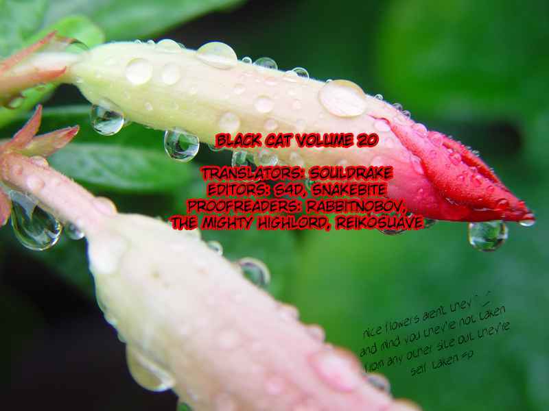 Page 24 Chapter 176 Black Cat