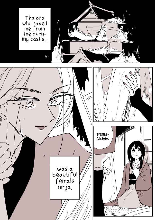 Page 1 Chapter 1 Ninja Woman and Princess