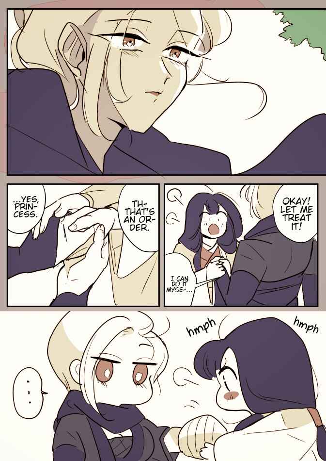 Page 7 Chapter 1 Ninja Woman and Princess