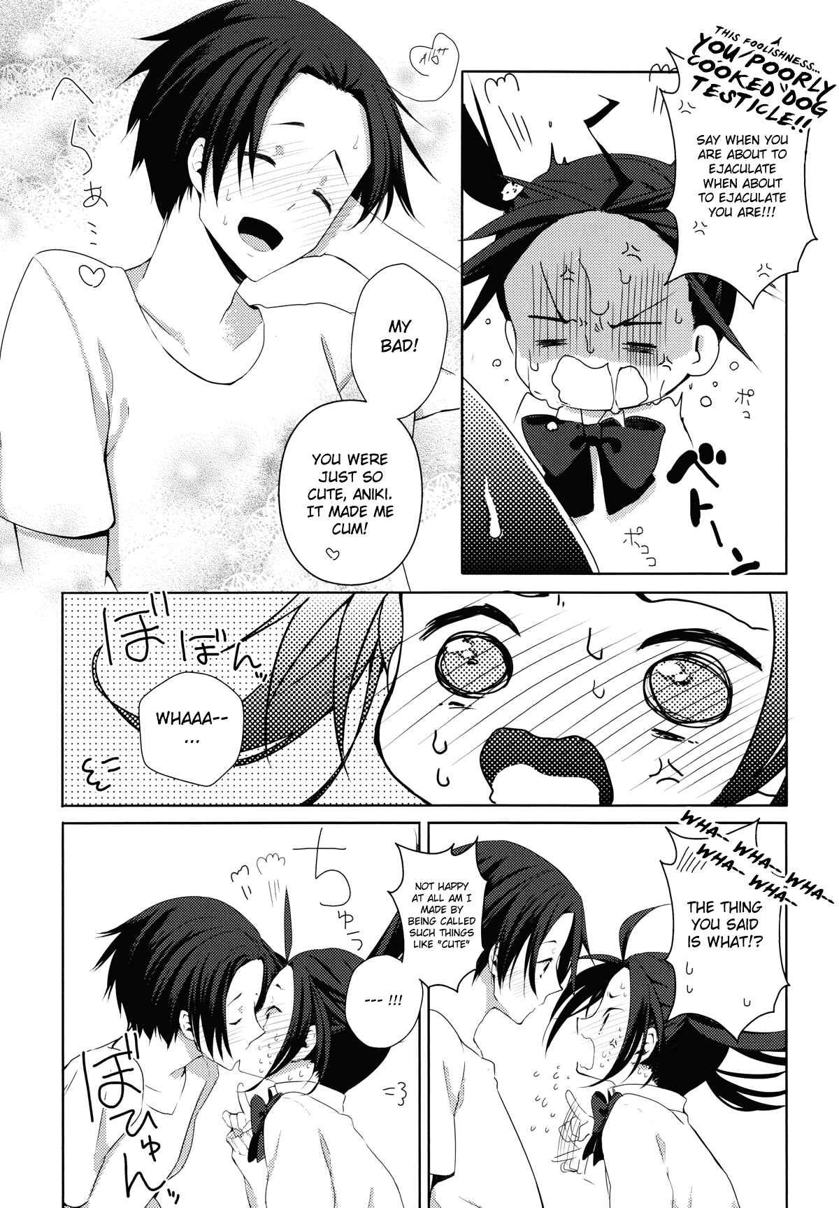 Page 14 Chapter Unknown_cd77 Axis Powers Hetalia - Aniki to Renai Circulation (Doujinshi)
