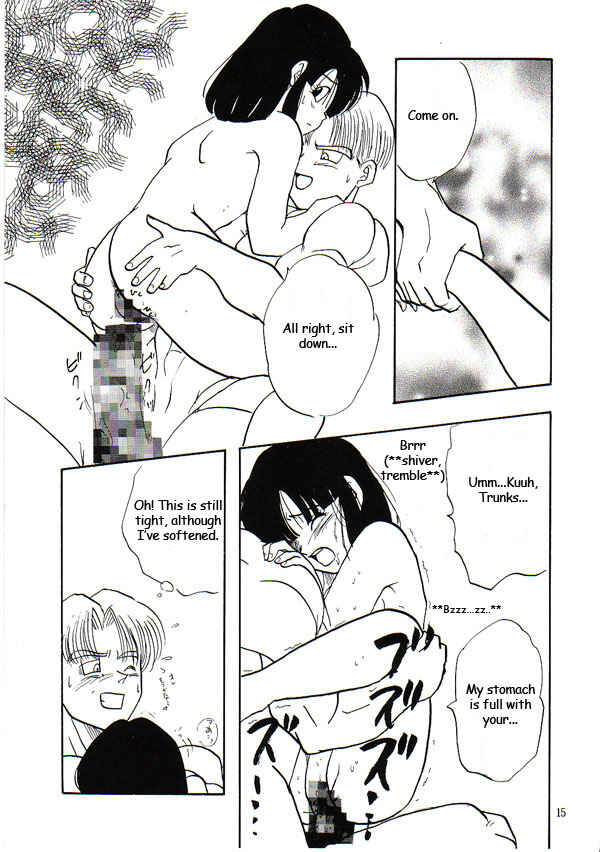 Page 14 Chapter Unknown_69f9 Dragon Ball GT - HoHeTo (Doujinshi)