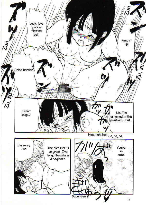 Page 16 Chapter Unknown_69f9 Dragon Ball GT - HoHeTo (Doujinshi)
