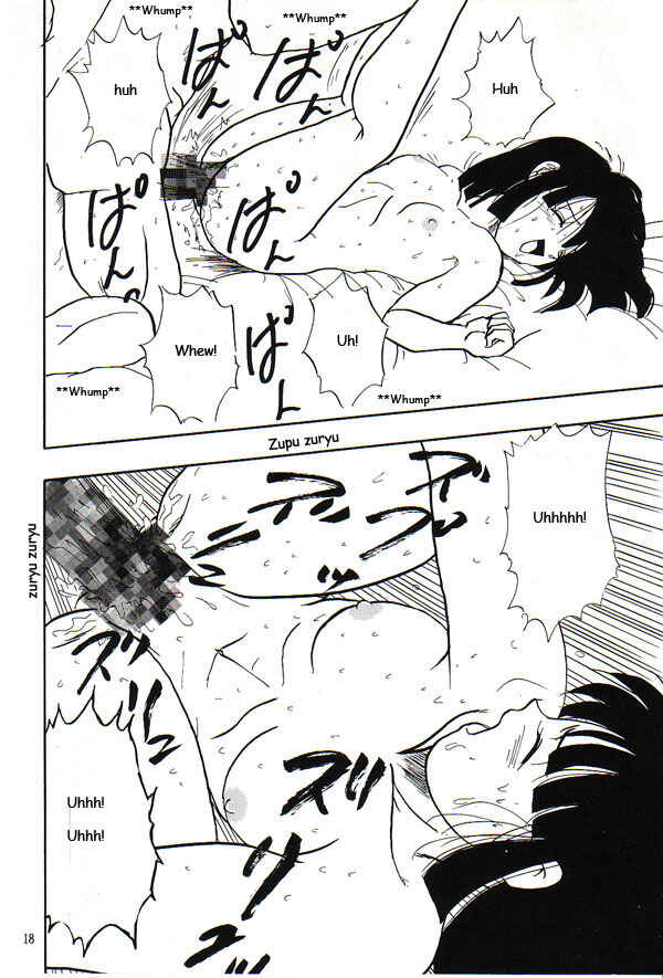 Page 17 Chapter Unknown_69f9 Dragon Ball GT - HoHeTo (Doujinshi)