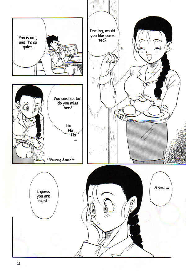 Page 23 Chapter Unknown_69f9 Dragon Ball GT - HoHeTo (Doujinshi)