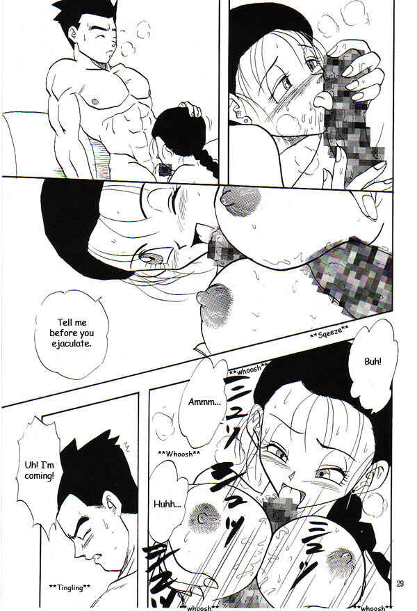 Page 28 Chapter Unknown_69f9 Dragon Ball GT - HoHeTo (Doujinshi)