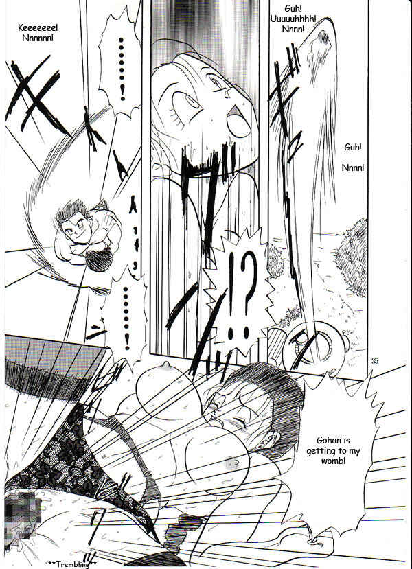 Page 34 Chapter Unknown_69f9 Dragon Ball GT - HoHeTo (Doujinshi)
