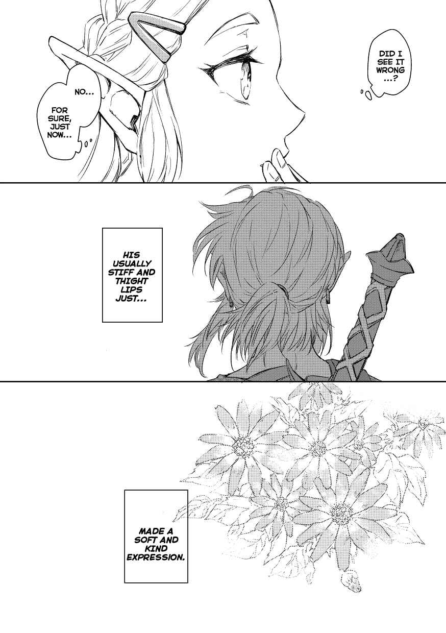 Page 9 Chapter Unknown_6878 The Legend of Zelda: Breath of the Wild - The Bud that Melts the Snow (Doujinshi)