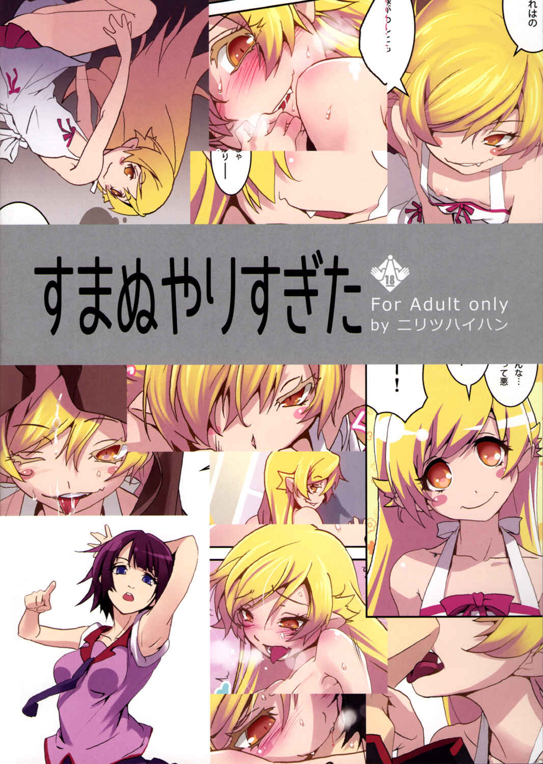 Page 14 Chapter Unknown_de95 Bakemonogatari - Sumanu Yarisugita (Doujinshi)