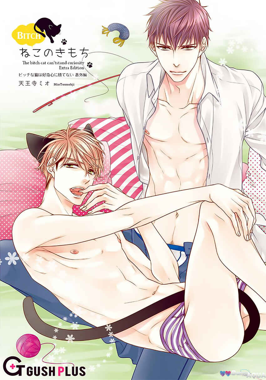 Page 3 Chapter Unknown_3ef5 Bitch na Neko wa Koukishin ni Katenai