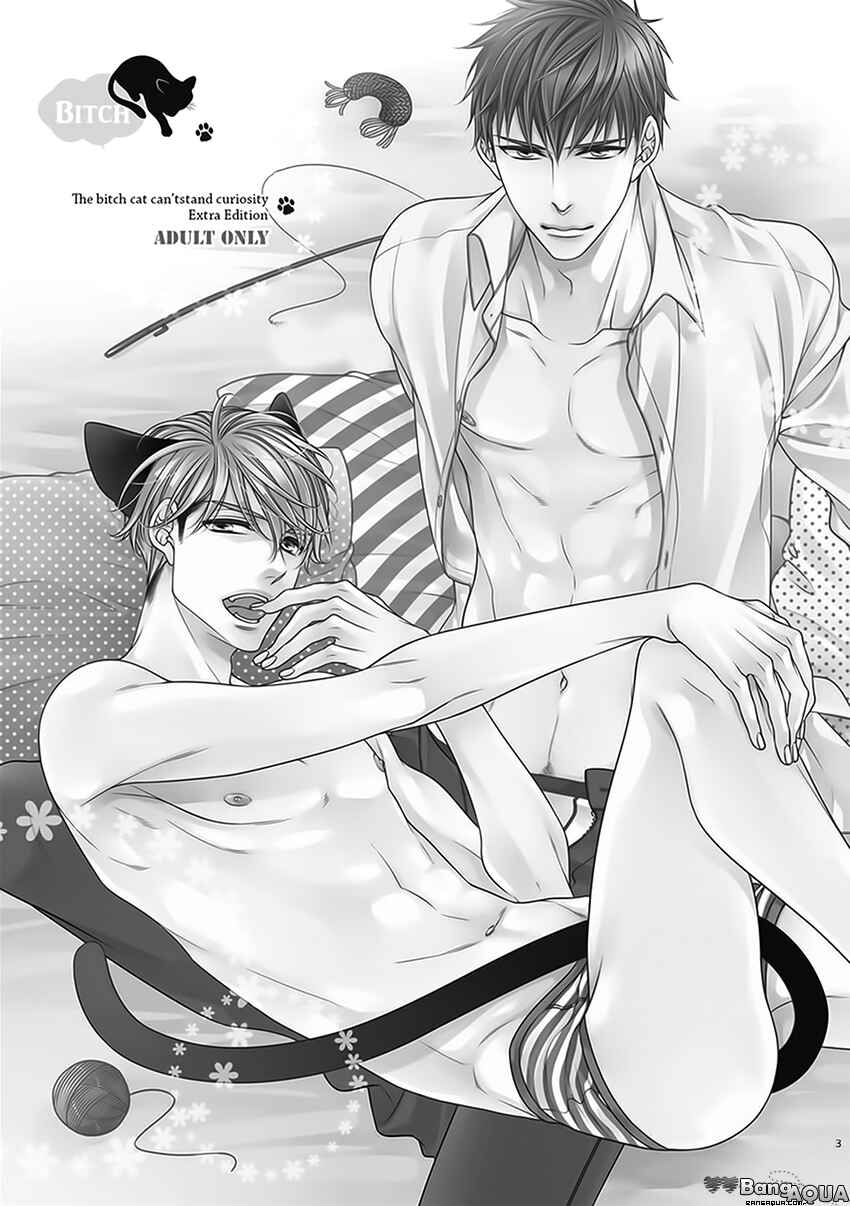 Page 5 Chapter Unknown_3ef5 Bitch na Neko wa Koukishin ni Katenai