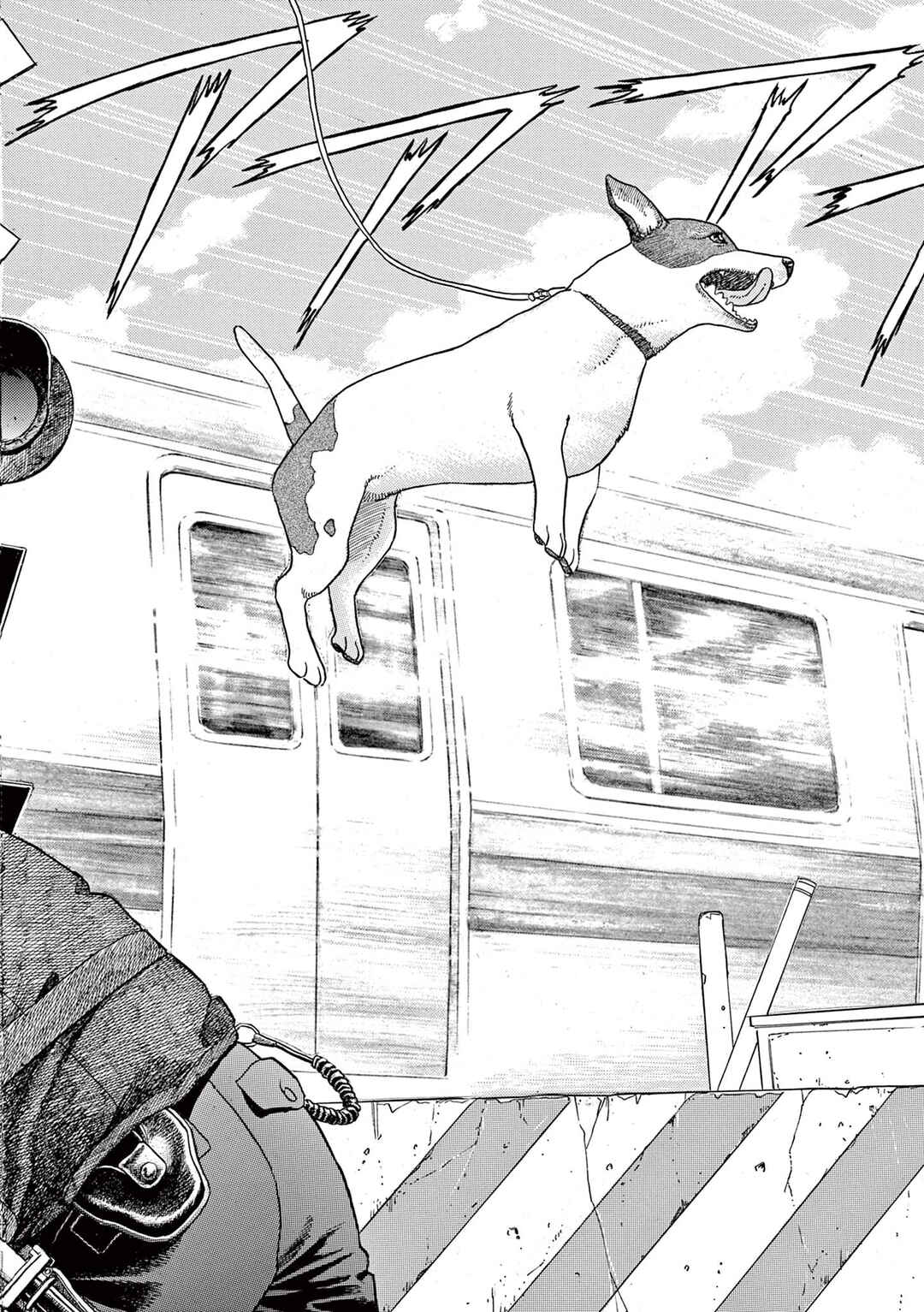 Page 16 Chapter 5 Momonoko: The last days of an old man and his beloved dog