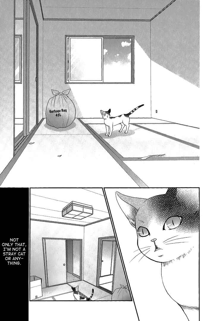 Page 19 Chapter 6 Nekoka Kareshi no Ayashikata