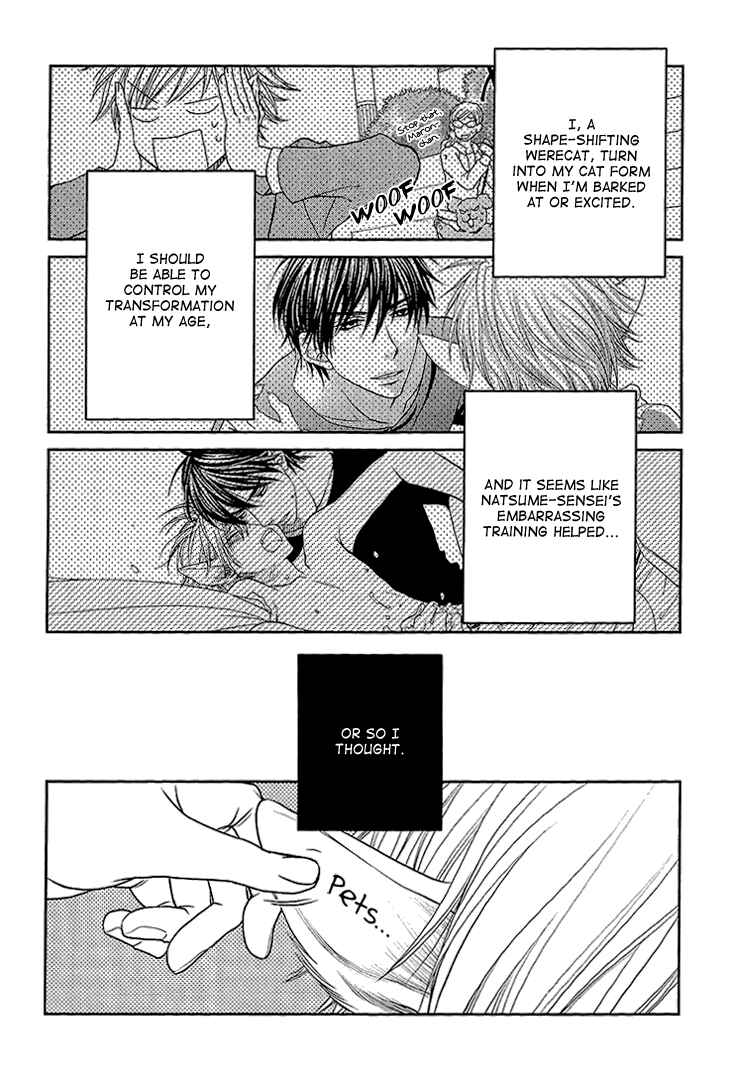 Page 3 Chapter 5 Nekoka Kareshi no Ayashikata