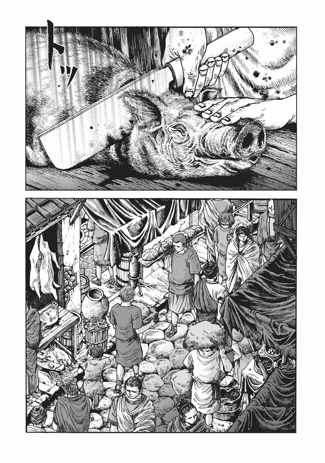 Page 2 Chapter 13 Plinivs