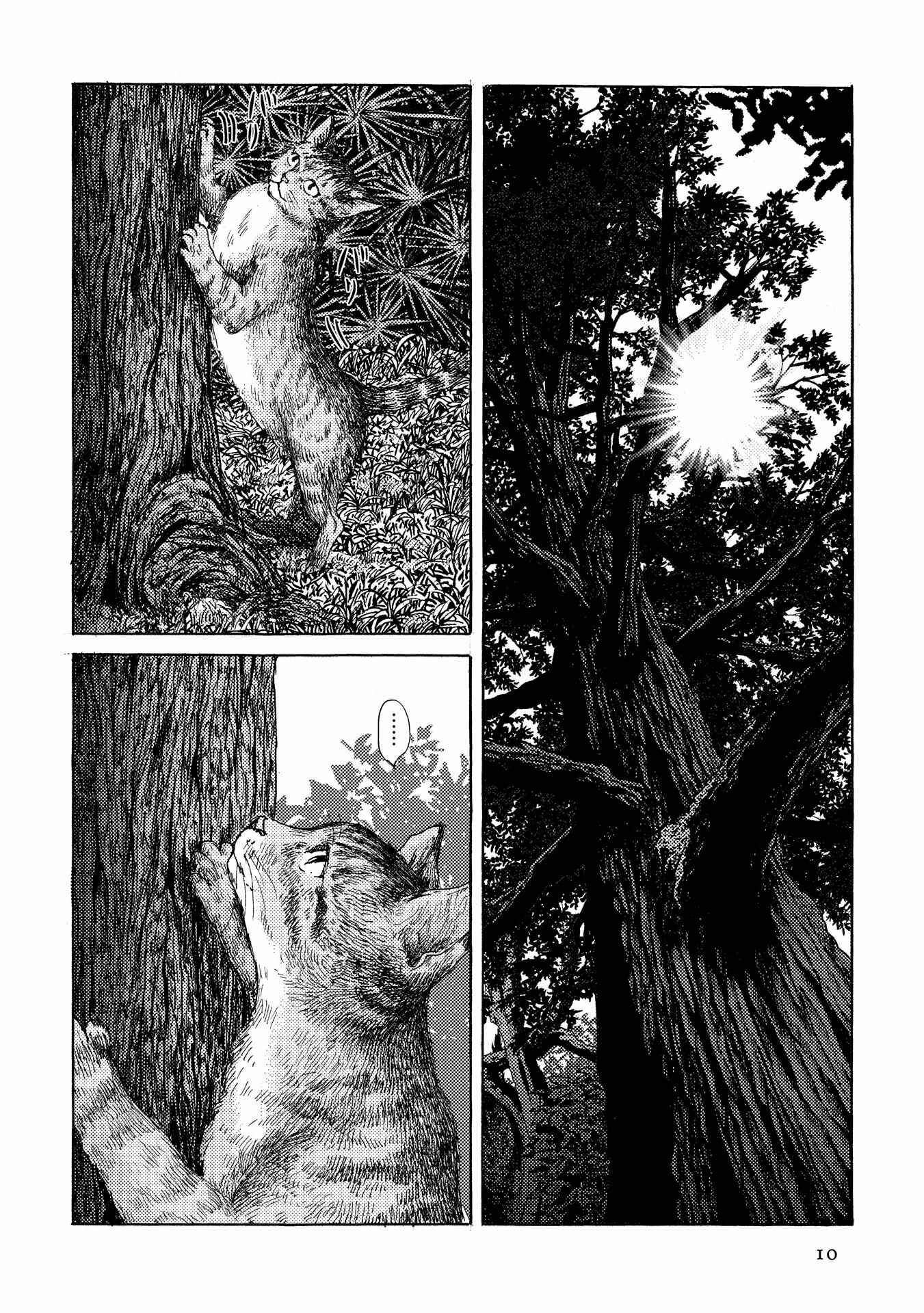 Page 10 Chapter 15 Plinivs
