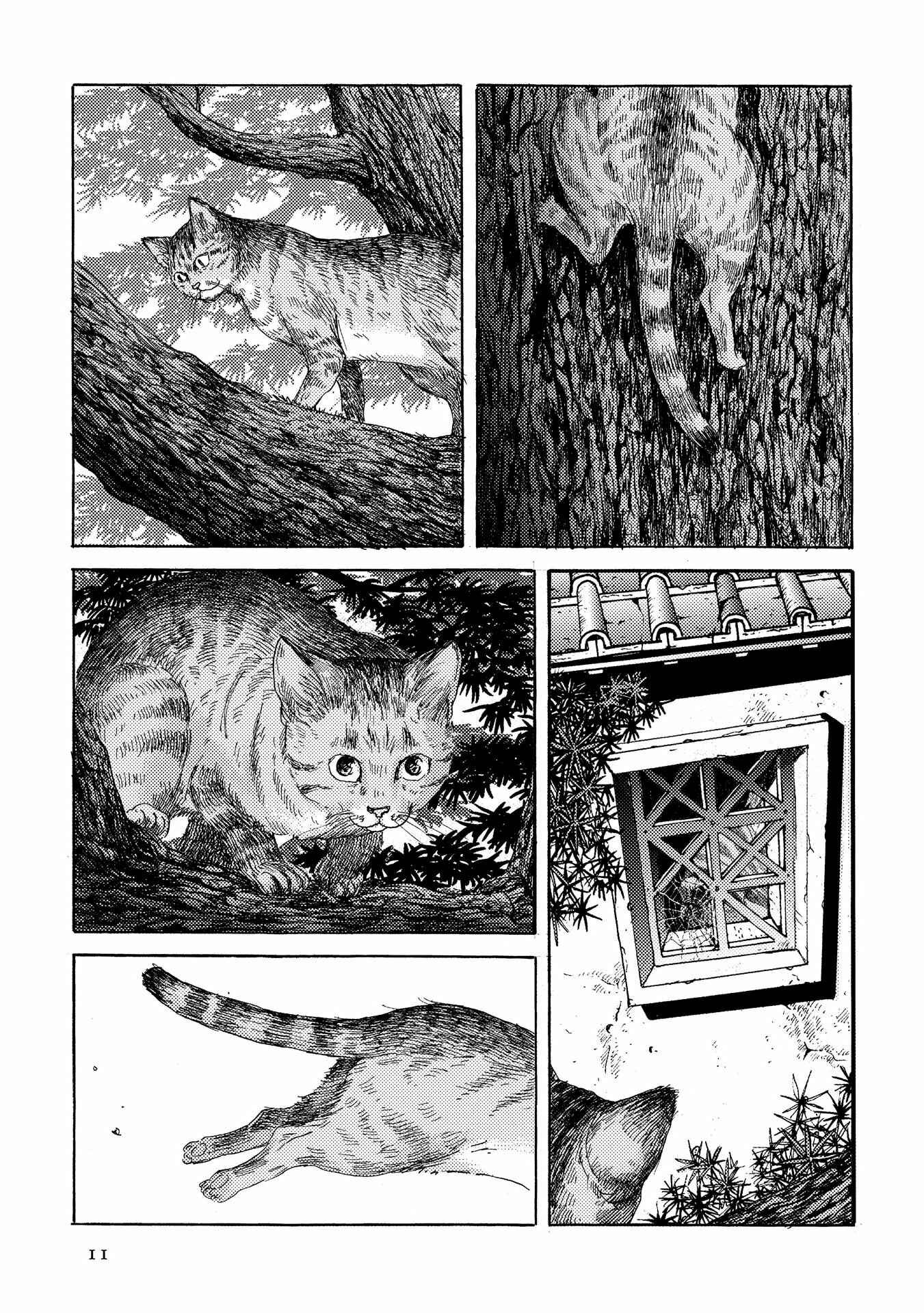 Page 11 Chapter 15 Plinivs