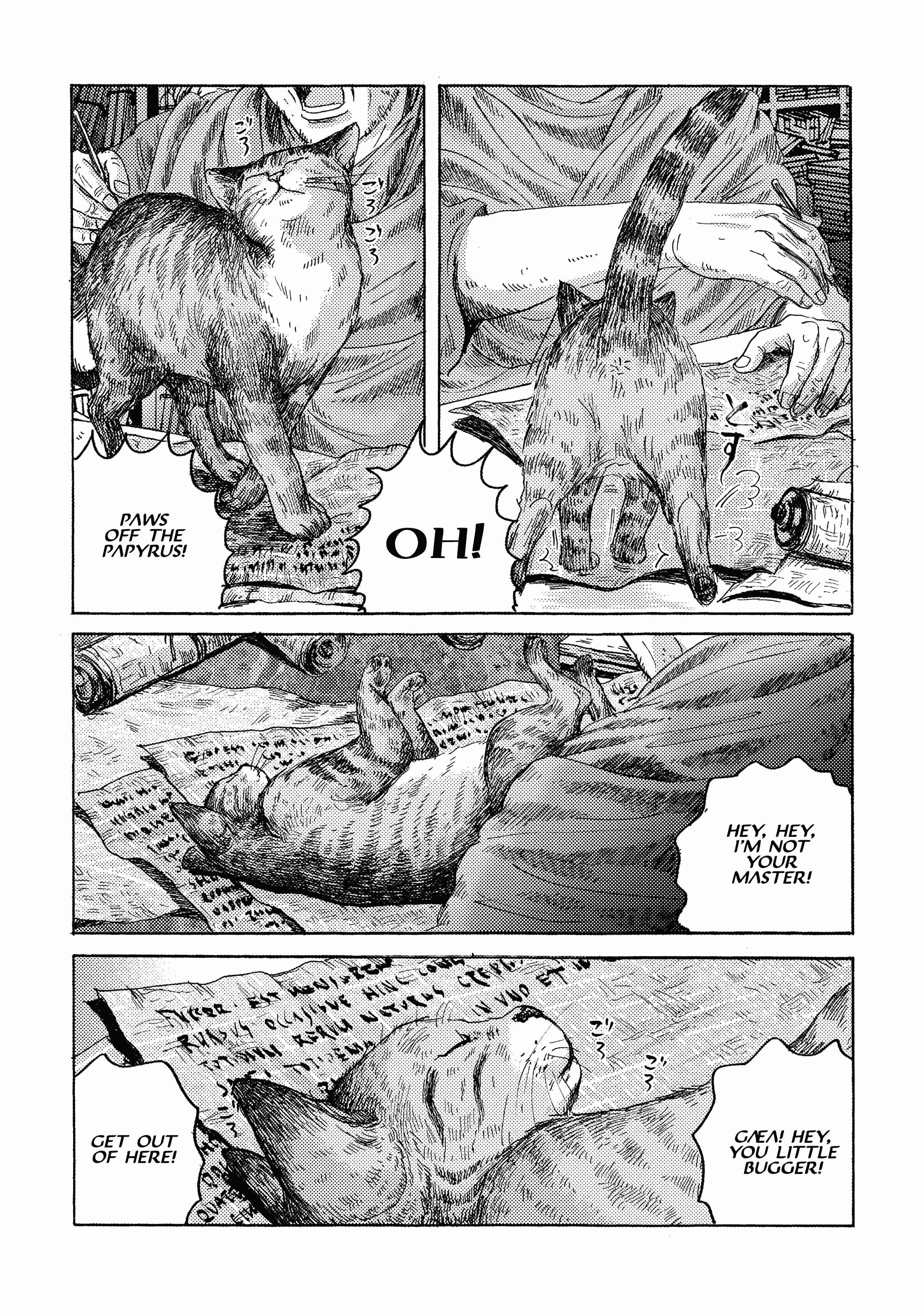 Page 13 Chapter 15 Plinivs