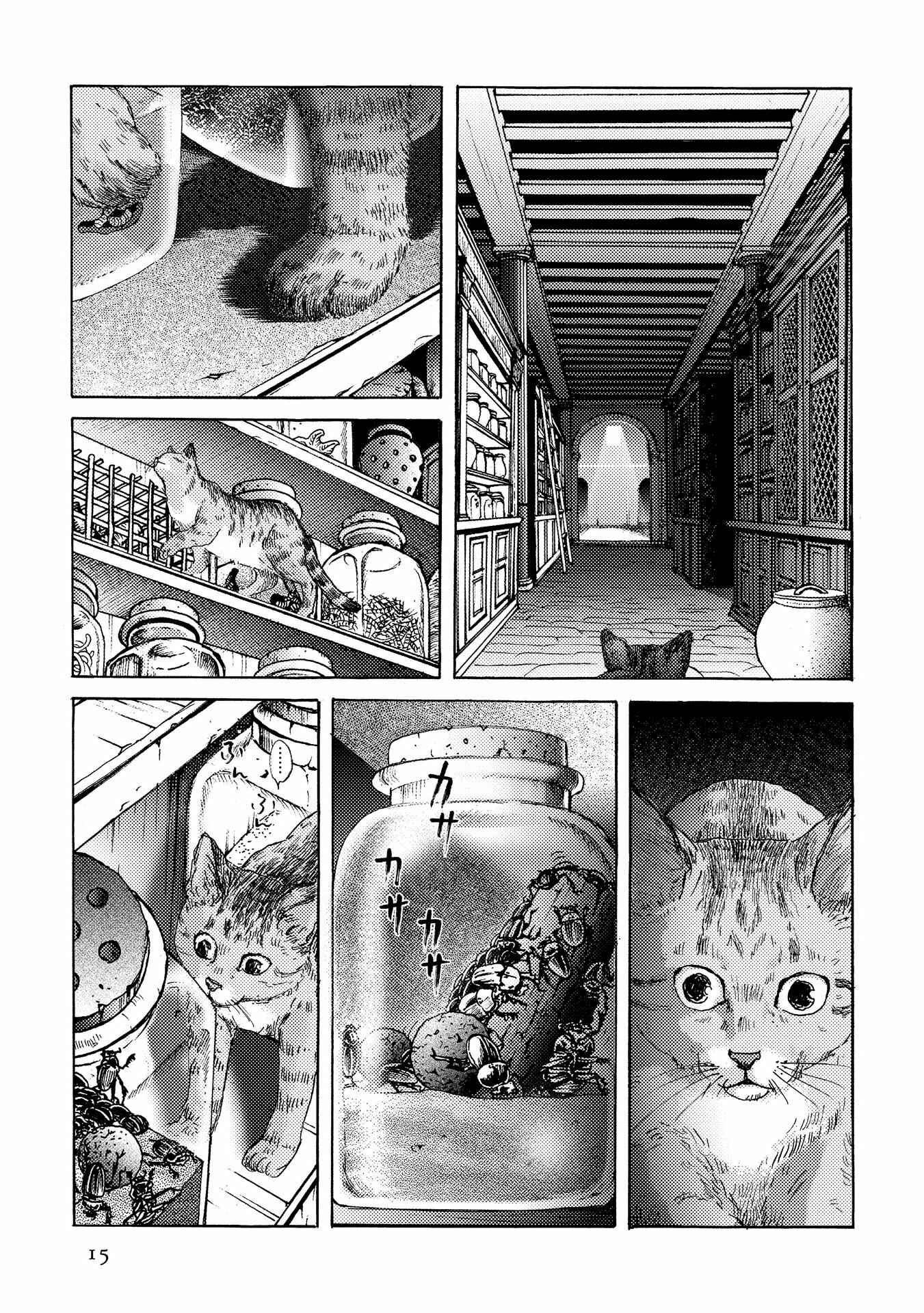 Page 15 Chapter 15 Plinivs